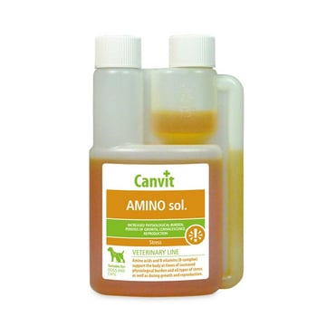 Canvit Аміносол