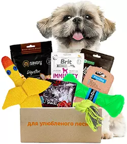 Present Small Breed Box